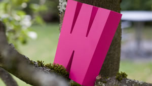 das pinkfarbene Holz W steht auf einem Ast und lehnt gegen den Baum